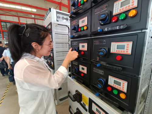 建設(shè)國家區(qū)域中心城市工作一線跟班學(xué)習(xí)干部赴長(zhǎng)城電氣調(diào)研